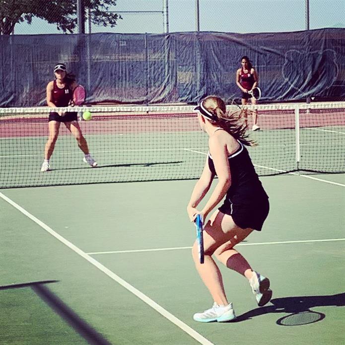 4/9 - Basha v. Hamilton